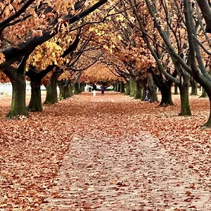 Eaglehawk Park Canberra